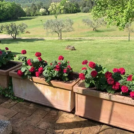 Rustic Tuscany Villa *